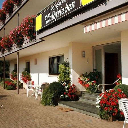 Pension Waldfrieden オーバーハルマースバッハ エクステリア 写真