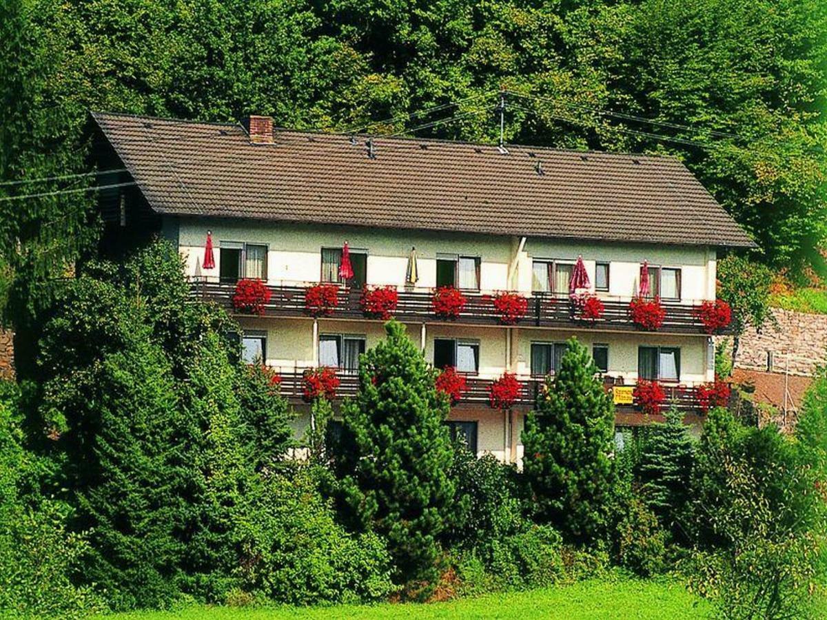 Pension Waldfrieden オーバーハルマースバッハ エクステリア 写真