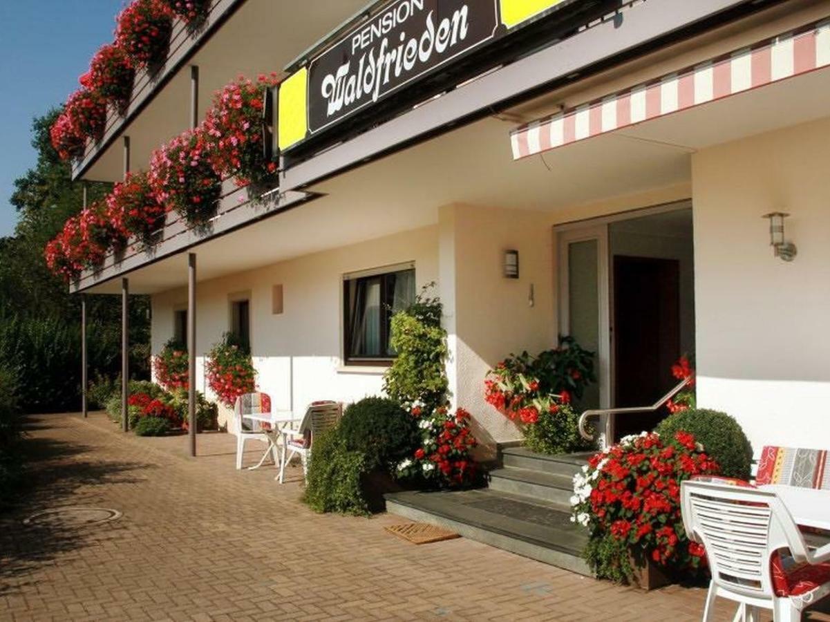 Pension Waldfrieden オーバーハルマースバッハ エクステリア 写真