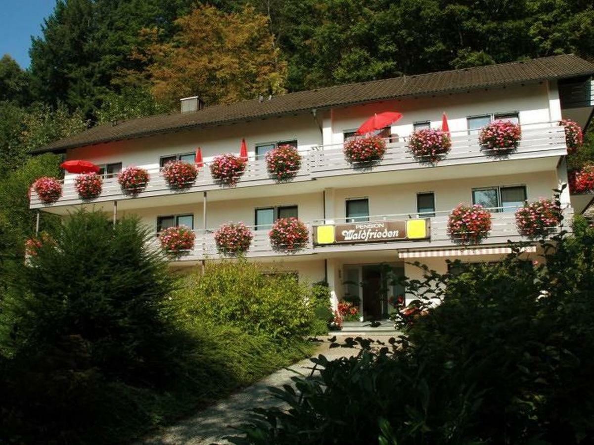 Pension Waldfrieden オーバーハルマースバッハ エクステリア 写真