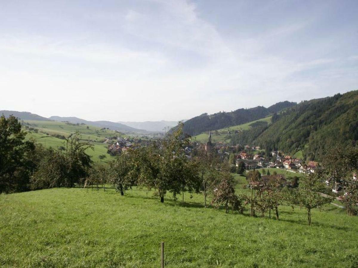 Pension Waldfrieden オーバーハルマースバッハ エクステリア 写真